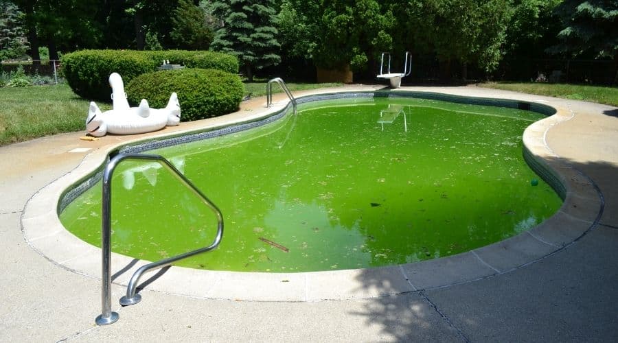 Чистка мутной воды в бассейне зеленкой